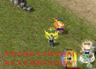 传奇私服新手如何快速入门?角色发育有哪些高效技巧? 传奇私服新手如何快速入门?角色发育有哪些高效技巧?