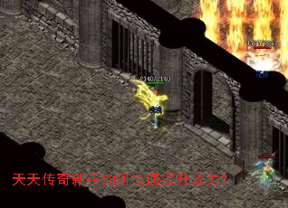 ���촫��������ο�������ս����