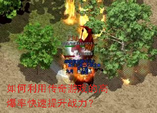 ������ô�����Ϸ�ĸ߱��ʿ�������ս����