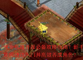 传奇私服开服必备攻略指南?新手如何快速入门并高效养成角色? 传奇私服开服必备攻略指南?新手如何快速入门并高效养成角色?