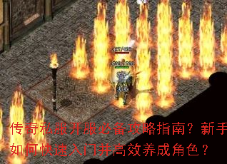 传奇私服开服必备攻略指南?新手如何快速入门并高效养成角色? 传奇私服开服必备攻略指南?新手如何快速入门并高效养成角色?