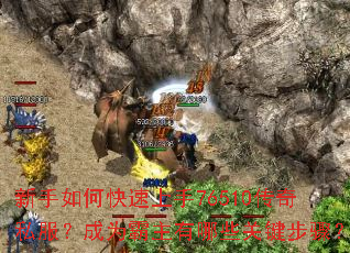 ������ο�������76510����˽������Ϊ��������Щ�ؼ����裿