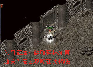 传奇征途:幽暗森林如何通关?最强攻略在此揭晓 传奇征途:幽暗森林如何通关?最强攻略在此揭晓