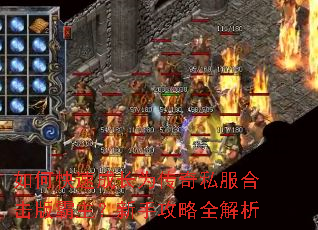 ��ο��ٳɳ�Ϊ����˽���ϻ�����������ֹ���ȫ����