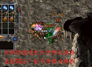 ��ο��ٳɳ�Ϊ����˽���ϻ�����������ֹ���ȫ����