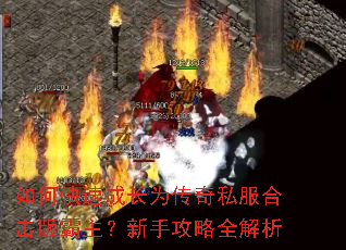 ��ο��ٳɳ�Ϊ����˽���ϻ�����������ֹ���ȫ����