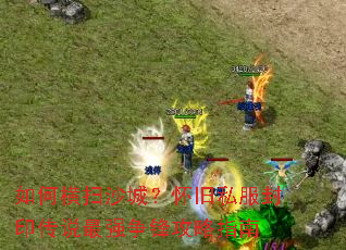 ��κ�ɨɳ�ǣ�����˽����ӡ��˵��ǿ���湥��ָ��