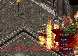 ɢ�����������ɻ�ȡ��Ʒװ����