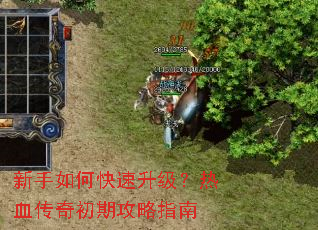 ������ο�����������Ѫ������ڹ���ָ��