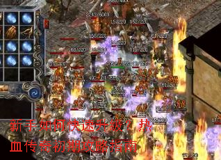 ������ο�����������Ѫ������ڹ���ָ��