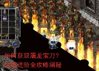 ��λ�ȡ������������������ȫ���Խ���