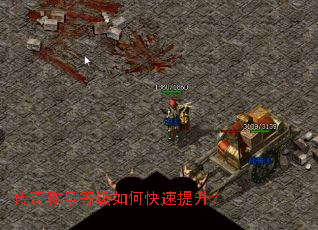 传奇称号等级如何快速提升? 传奇称号等级如何快速提升?