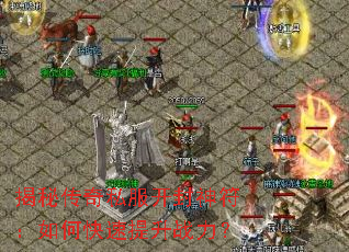 ���ش���˽�������������ο�������ս����