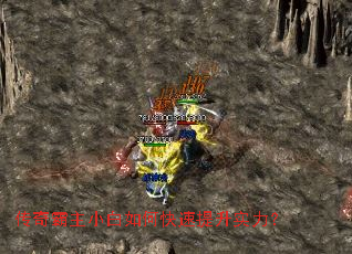 �������С����ο�������ʵ����