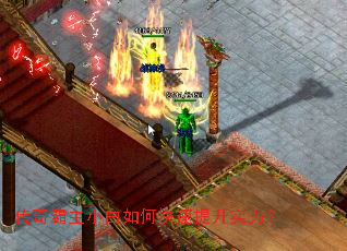 �������С����ο�������ʵ����