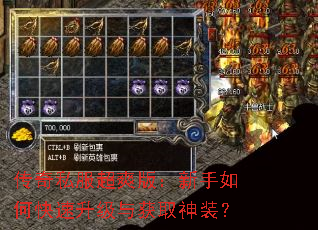 ����˽����ˬ�棺������ο����������ȡ��װ��