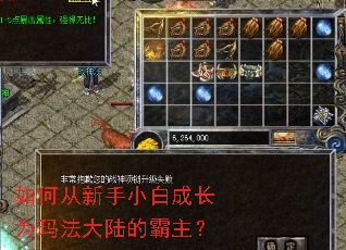 如何从新手小白成长为玛法大陆的霸主? 如何从新手小白成长为玛法大陆的霸主?