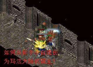 如何从新手小白成长为玛法大陆的霸主? 如何从新手小白成长为玛法大陆的霸主?