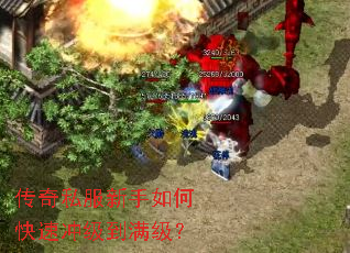 ����˽��������ο��ٳ弶��������