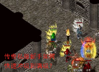 ����˽��������ο��ٳ弶��������