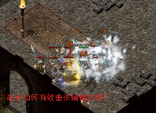 战士如何有效击杀蝙蝠法师? 战士如何有效击杀蝙蝠法师?