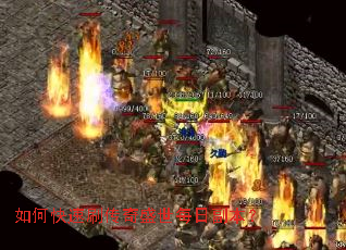 如何快速刷传奇盛世每日副本? 如何快速刷传奇盛世每日副本?