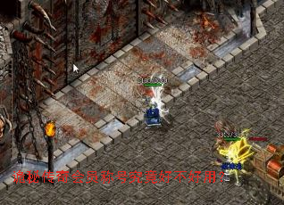 ���ش����Ա�ƺž����ò����ã�