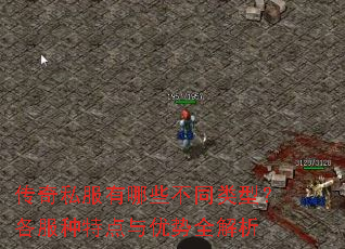 ����˽������Щ��ͬ���ͣ��������ص�������ȫ����