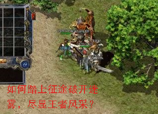 如何踏上征途破开迷雾,尽显王者风采? 如何踏上征途破开迷雾,尽显王者风采?