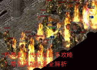 ���鸴�Ŵ�������ֹ��ԣ�����������ȫ����