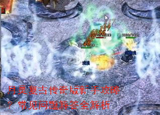 ���鸴�Ŵ�������ֹ��ԣ�����������ȫ����