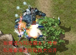 ��γ�Ϊ�귨����������˽����ǿ�����ؼ��󹫿�