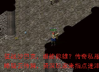 ��սɳ�Ϳˣ�˭�ܳ��ۣ�����˽���������ƴ��⣬���������ָ���Խ�