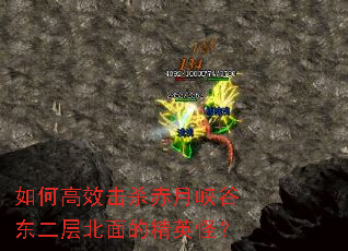 ��θ�Ч��ɱ����Ͽ�ȶ����㱱��ľ�Ӣ�֣�