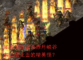 ��θ�Ч��ɱ����Ͽ�ȶ����㱱��ľ�Ӣ�֣�