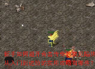 ������αܿ��ϻ�����ĳ������壿�����ŵ����׵�ʵ�ù�������Щ��