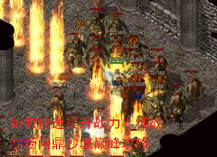 ��ο�������ս������սɳ���ʶ�ɳ���۷幥��