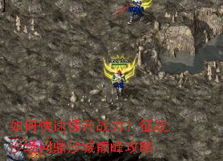 ��ο�������ս������սɳ���ʶ�ɳ���۷幥��