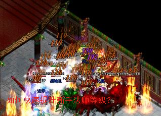 ��ο����������ַ�ʦ�ȼ���