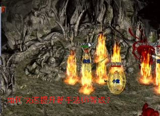 ��ο����������ַ�ʦ�ȼ���