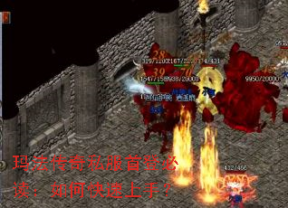 �귨����˽���׵Ǳض�����ο������֣�