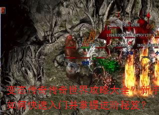 ��̬���洫�����繥�Դ�ȫ��������ο������Ų����ս������ţ�