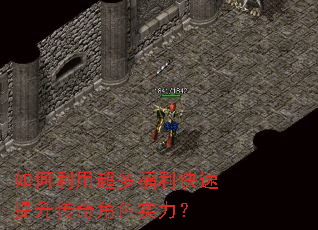 ������ó��ร���������������ɫʵ����