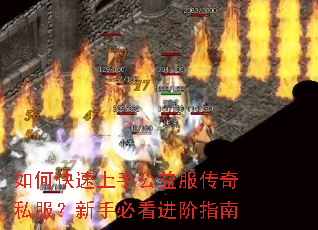 ��ο������ֹ��������˽�������ֱؿ�����ָ��