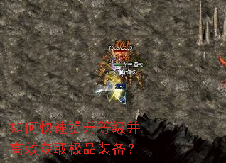 ��ο��������ȼ�����Ч��ȡ��Ʒװ����