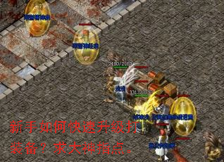 ������ο���������װ���������ָ�㡣