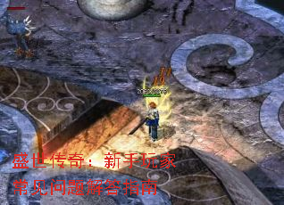 ʢ�����棺������ҳ���������ָ��