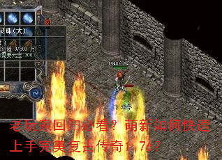 ����һع�ؿ���������ο��������������Ŵ���1.76��