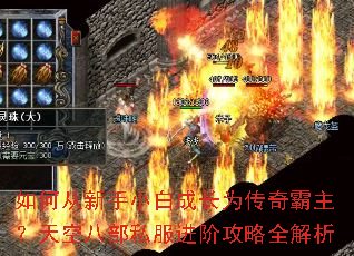 ��δ�����С�׳ɳ�Ϊ�����������հ˲�˽�����׹���ȫ����