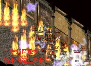 ������������ô�棿���ֿ�������ָ��